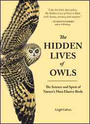 THE HIDDEN LIVES OF OWLS 1