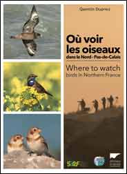 OÙ VOIR LES OISEAUX DANS LE NORD-PAS-DE-CALAIS / WHERE TO WATCH BIRDS IN NORTHERN FRANCE 1