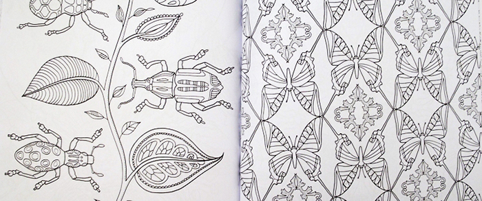 WONDERFUL INSECTS. COLORING BOOK 2