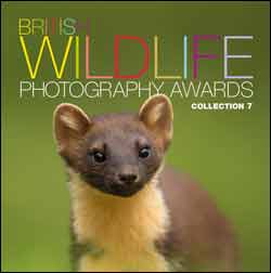 BRITISH WILDLIFE PHOTOGRAPHY AWARDS. COLLECTION 7 1