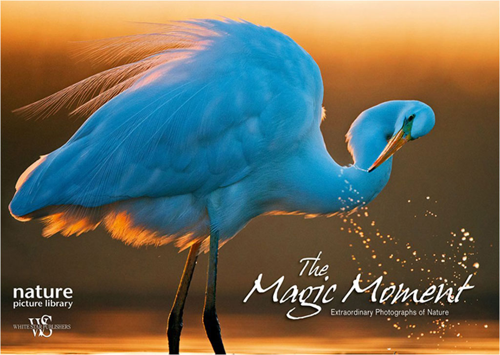 THE MAGIC MOMENT. EXTRAORDINARY PHOTOGRAPHS OF NATURE