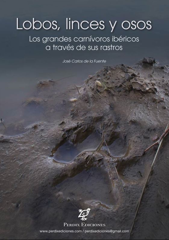 LOBOS, LINCES Y OSOS. LOS GRANDES CARNÍVOROS IBÉRICOS A TRAVÉS DE SUS RASTROS 1