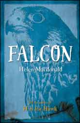 FALCON