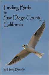 FINDING BIRDS IN SAN DIEGO COUNTY