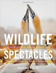 WILDLIFE SPECTACLES: MASS MIGRATIONS, MATING RITUALS, AND OTHER FASCINATING ANIMAL BEHAVIORS 1