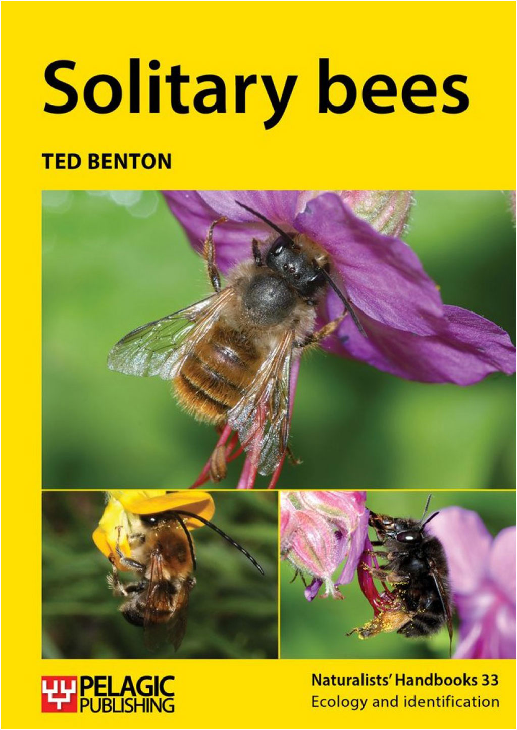 SOLITARY BEES