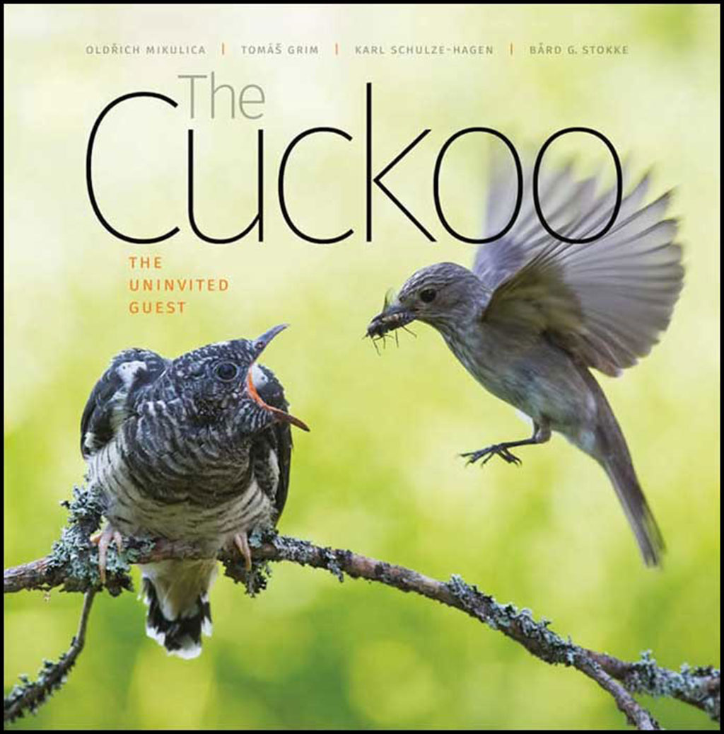 THE CUCKOO: THE UNINVITED GUEST