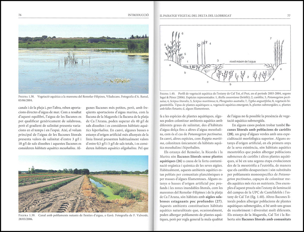 FLORA VASCULAR DEL DELTA DEL LLOBREGAT 2