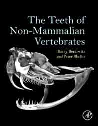 THE TEETH OF NON-MAMMALIAN VERTEBRATES 1