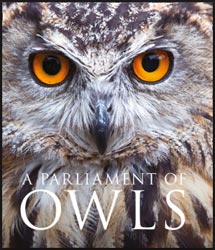 A PARLIAMENT OF OWLS