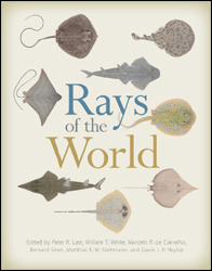 RAYS OF THE WORLD 1