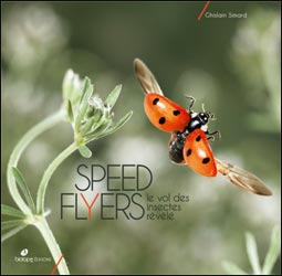 SPEED FLYERS-LE VOL DES INSECTES RÉVÉLÉ 1