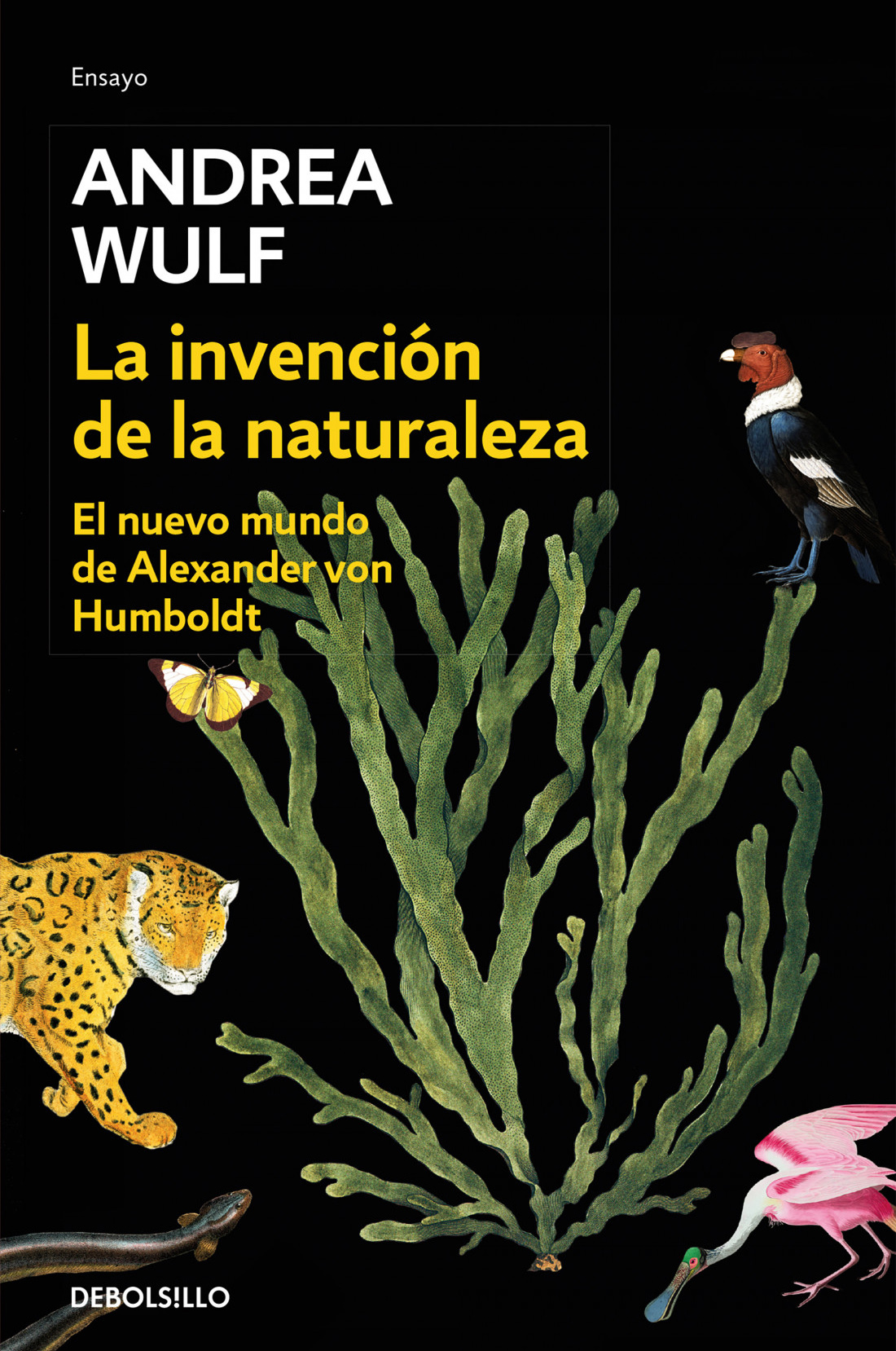 LA INVENCIÓN DE LA NATURALEZA. EL NUEVO MUNDO DE ALEXANDER VON HUMBOLDT 1