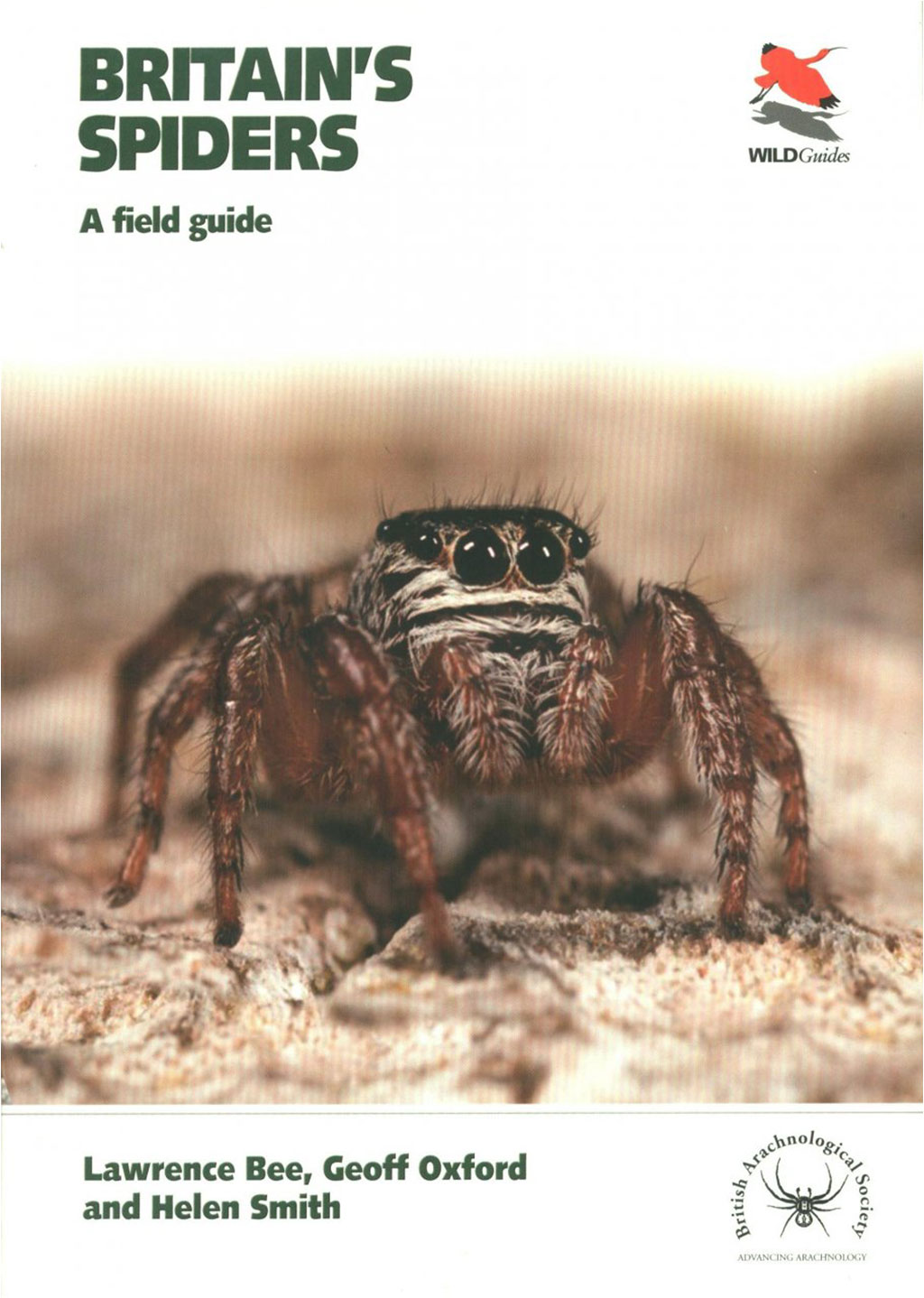 BRITAIN'S SPIDERS: A FIELD GUIDE