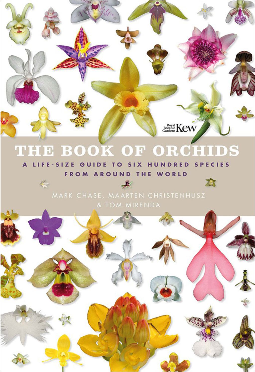 THE BOOK OF ORCHIDS: A LIFE-SIZE GUIDE TO SIX HUNDRED SPECIES FROM AROUND THE WORLD