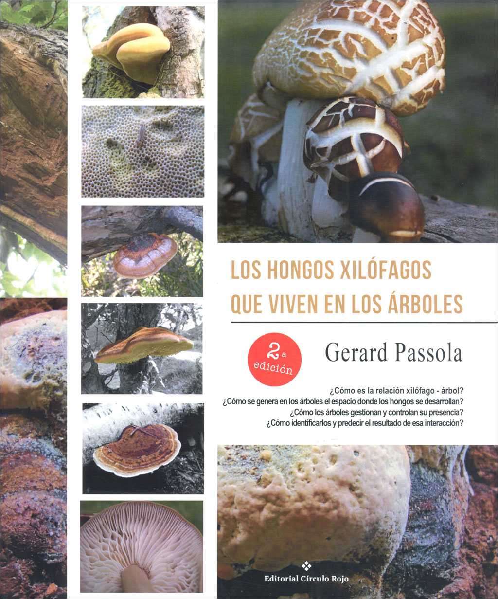LOS HONGOS XILÓFAGOS QUE VIVEN EN LOS ÁRBOLES 1