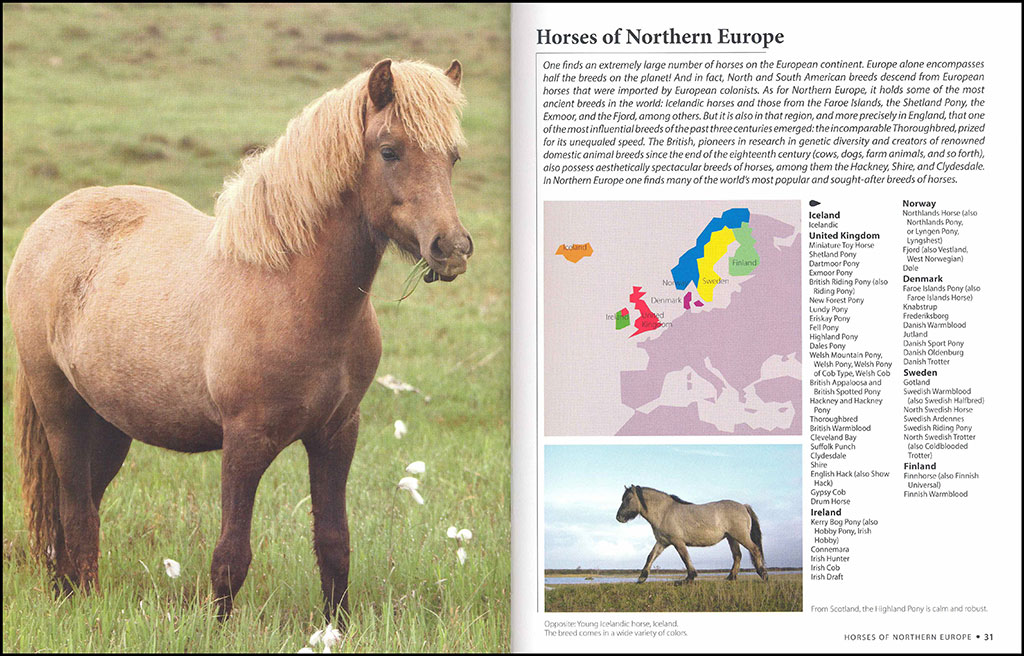 HORSES OF THE WORLD 2