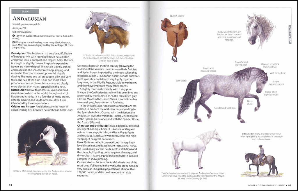 HORSES OF THE WORLD 3