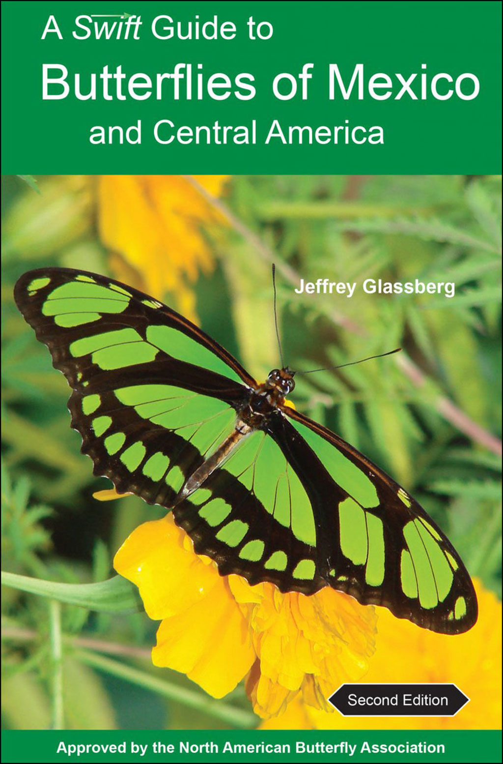 A SWIFT GUIDE TO BUTTERFLIES OF MEXICO AND CENTRAL AMERICA. 2ND ED.
