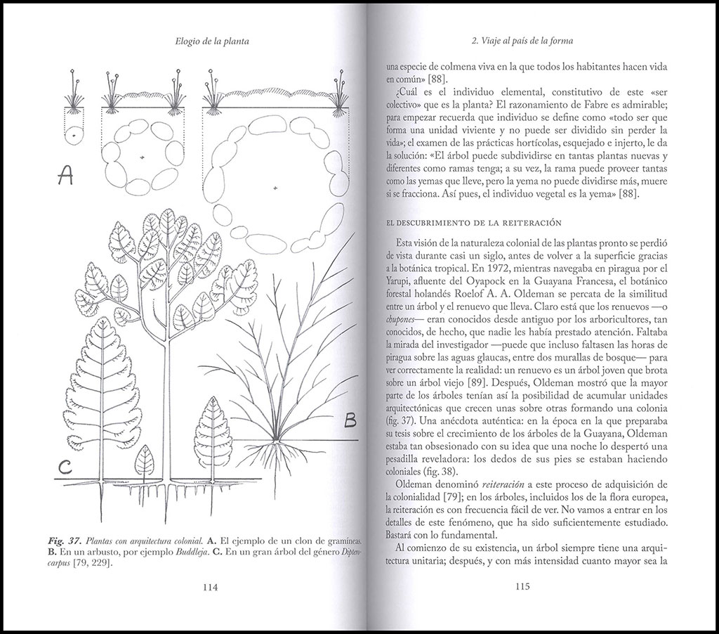 ELOGIO DE LA PLANTA. POR UNA NUEVA BIOLOGÍA 3