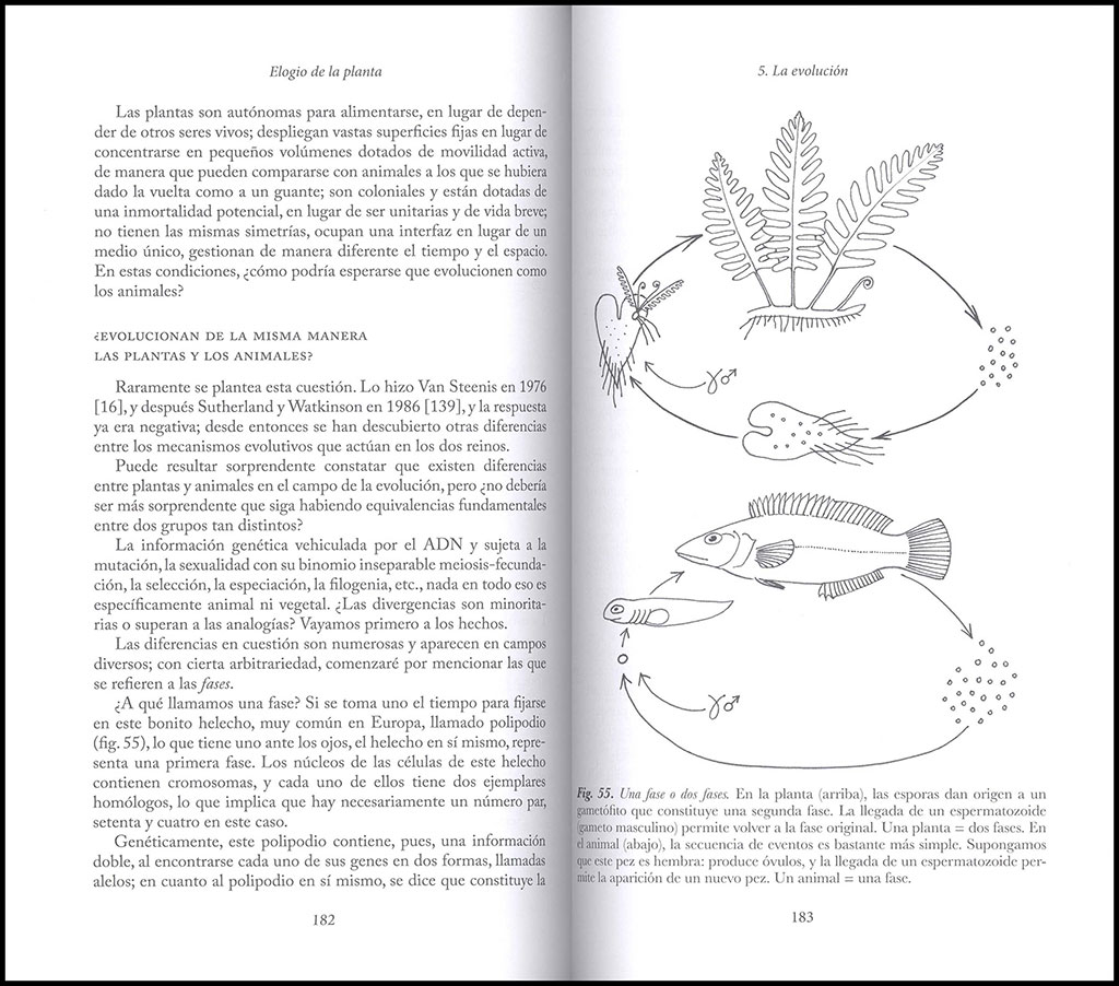 ELOGIO DE LA PLANTA. POR UNA NUEVA BIOLOGÍA 4