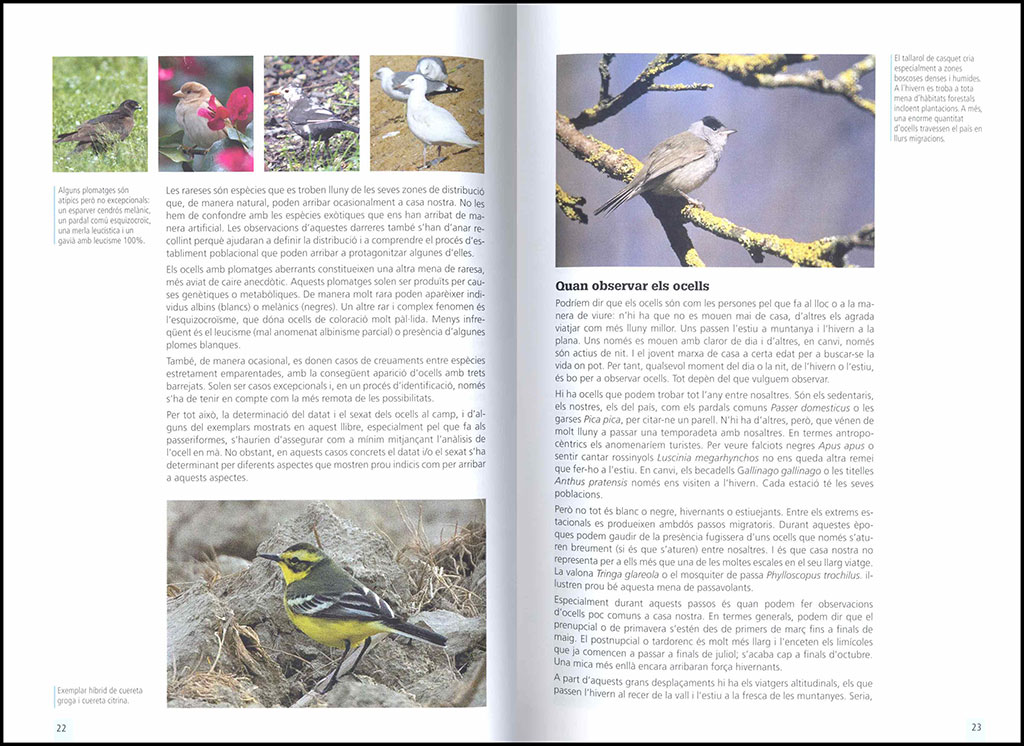 GUIA DE CAMP DELS OCELLS A CATALUNYA 2