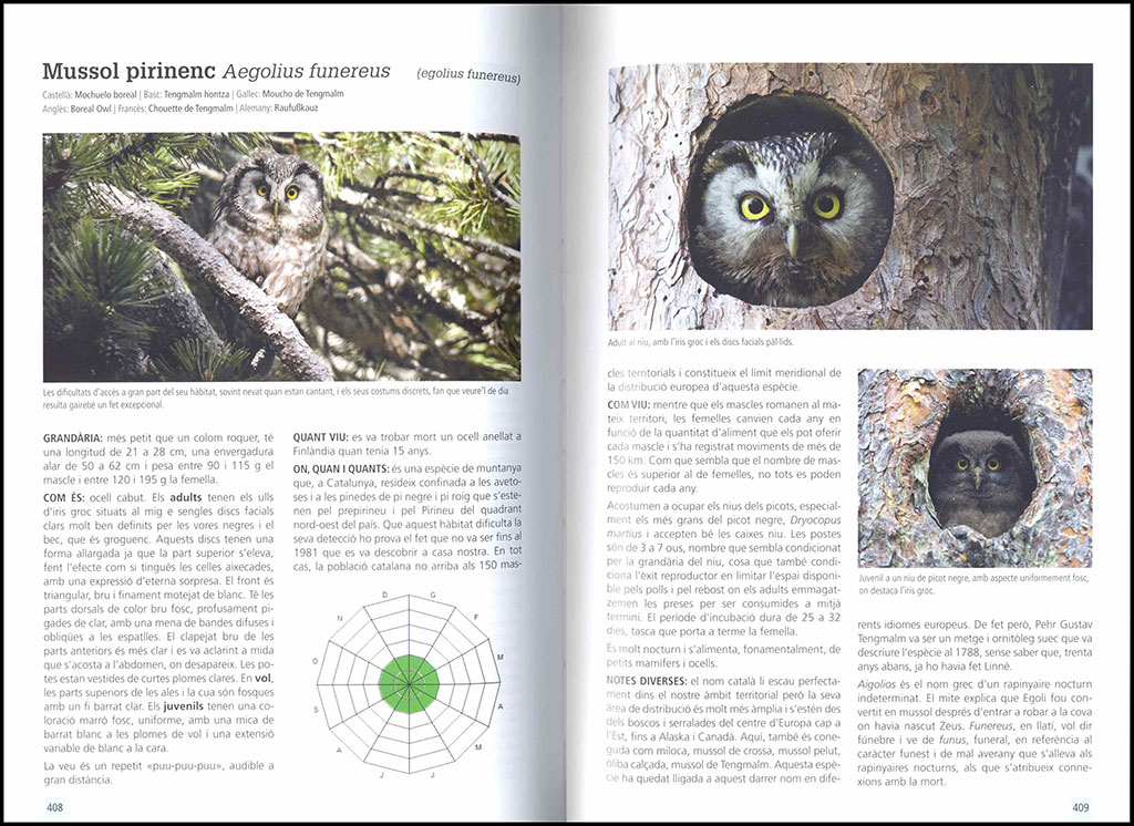 GUIA DE CAMP DELS OCELLS A CATALUNYA 3