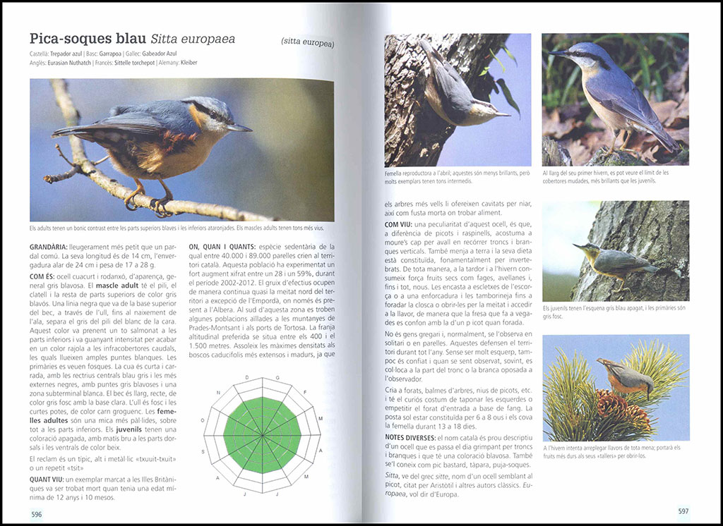 GUIA DE CAMP DELS OCELLS A CATALUNYA 4