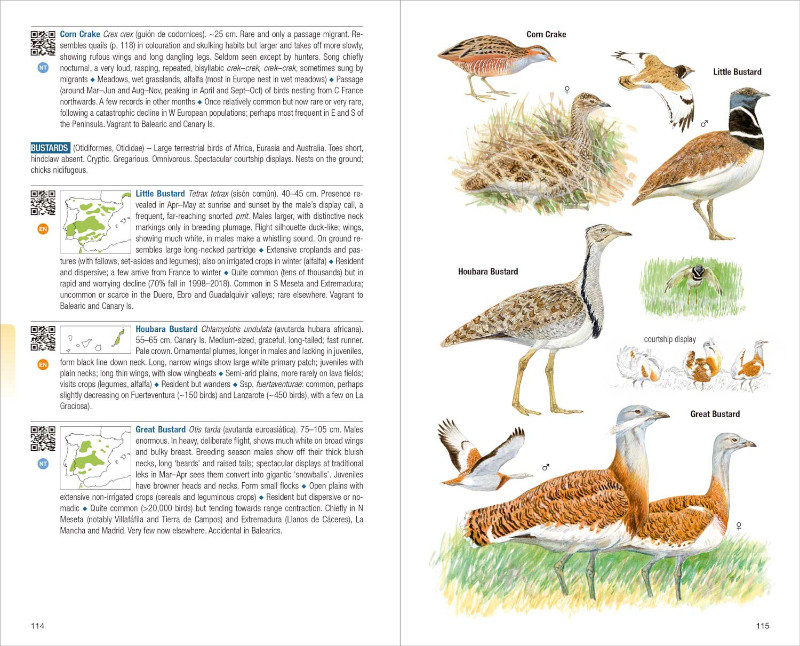 BIRDS OF SPAIN 2