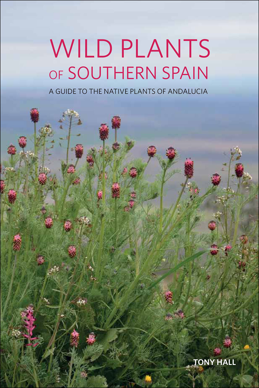 WILD PLANTS OF SOUTHERN SPAIN. A GUIDE TO THE NATIVE PLANTS OF ANDALUCIA