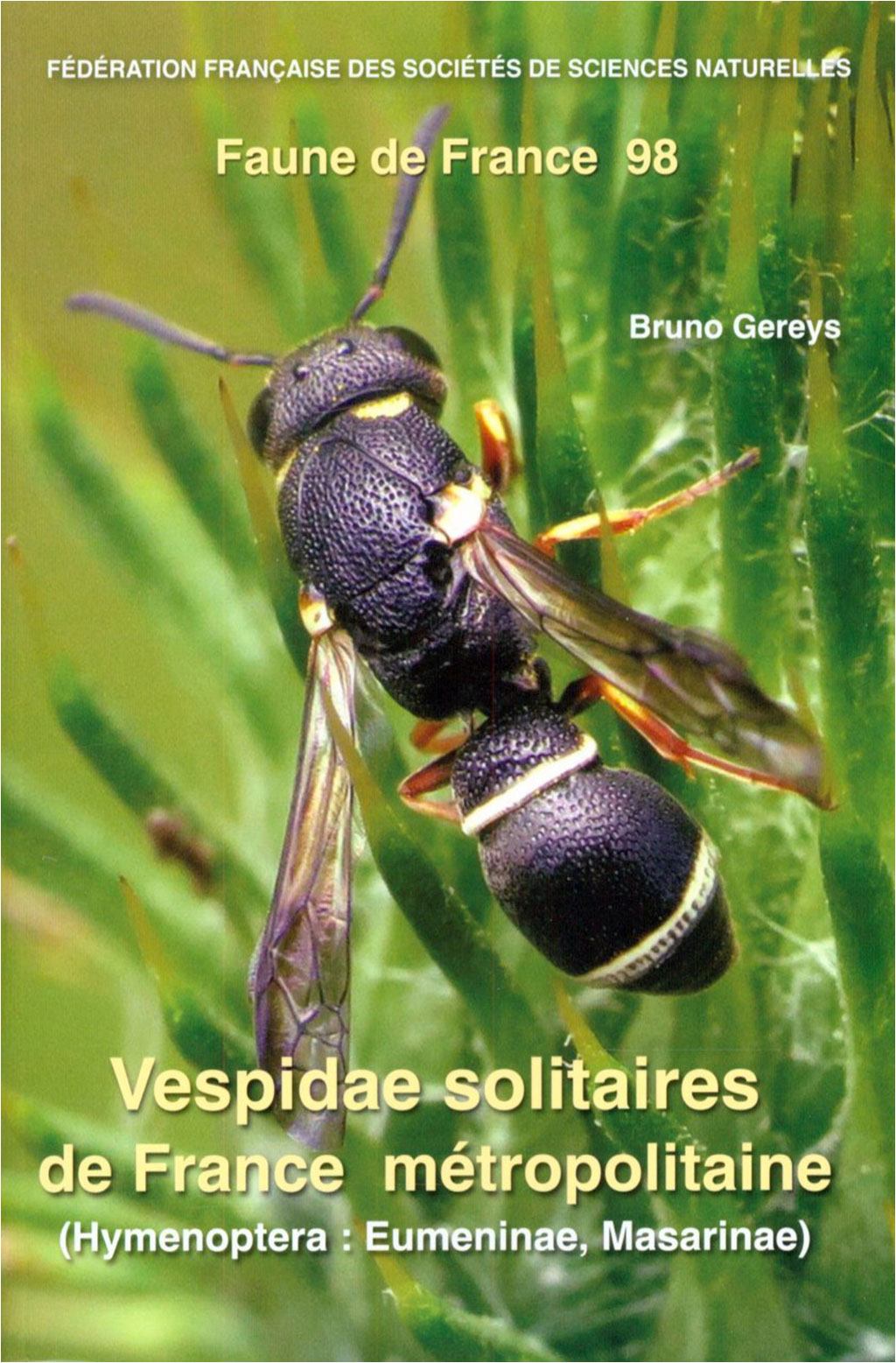 FAUNE DE FRANCE. VOLUME 98: VESPIDAE SOLITAIRE DE RANCE METROPOLITAINE . HYMENOPTERA: EUMENINAE 1