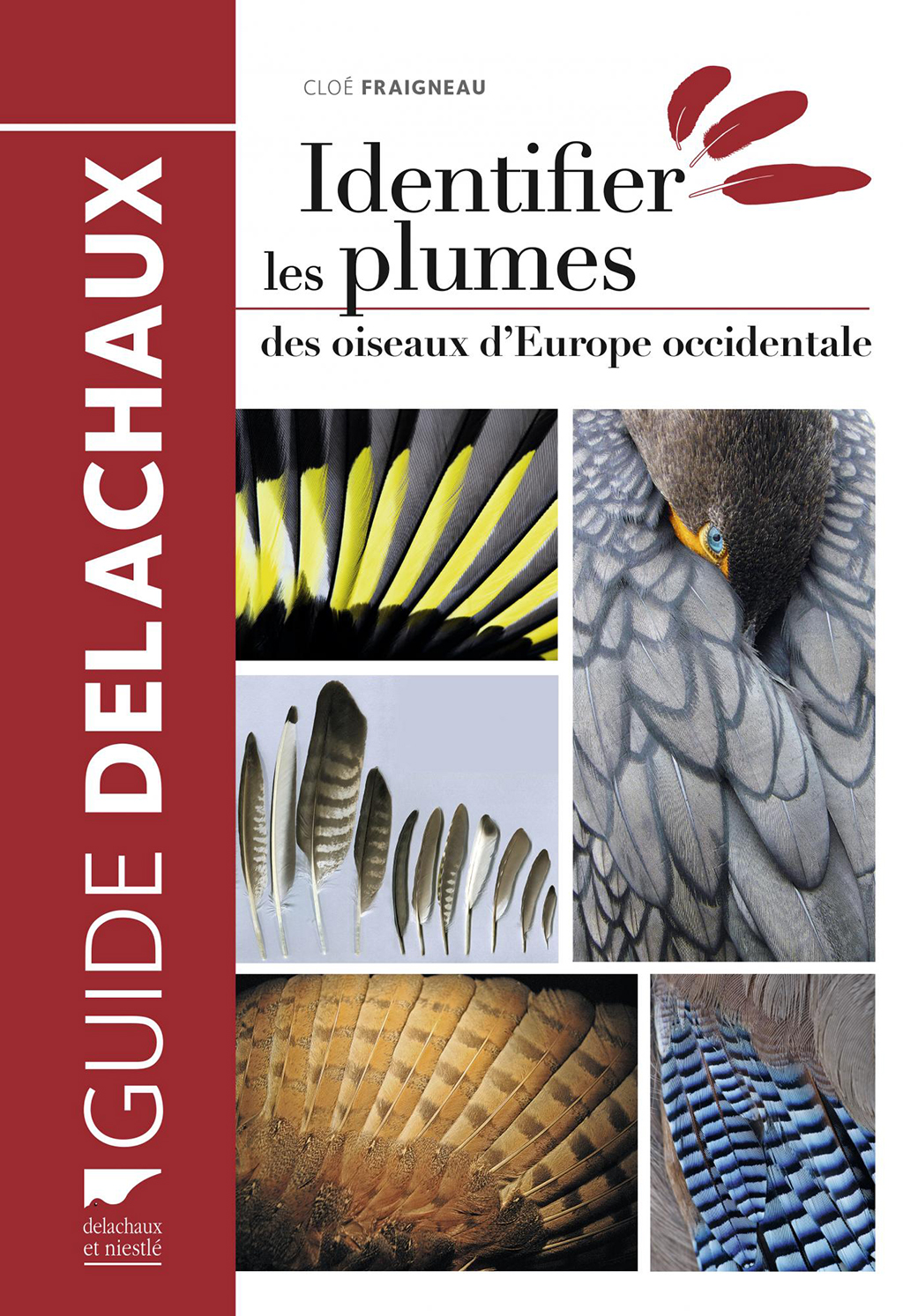 IDENTIFIER LES PLUMES DES OISEAUX D'EUROPE OCCIDENTALE 1