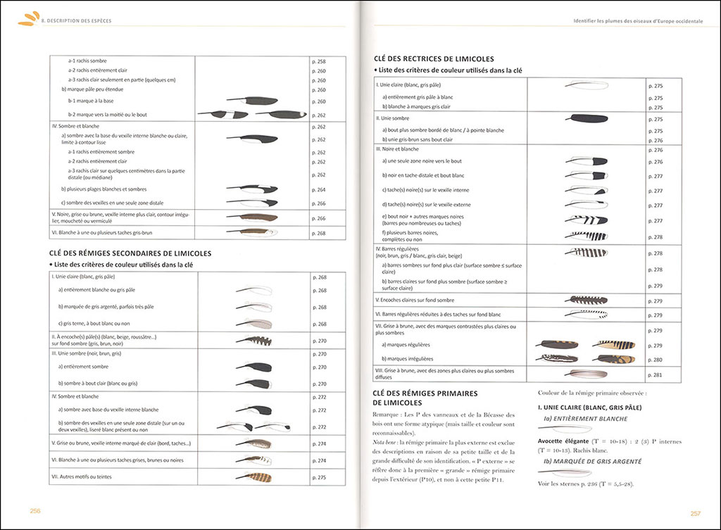 IDENTIFIER LES PLUMES DES OISEAUX D'EUROPE OCCIDENTALE 4