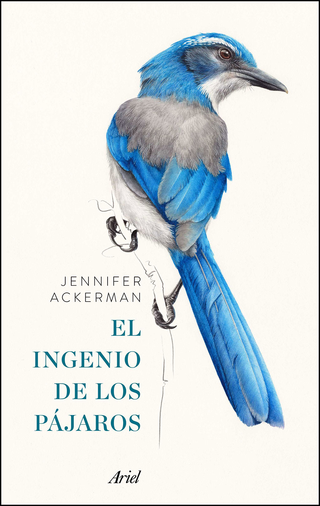 EL INGENIO DE LOS PÁJAROS                                                                                                                              1