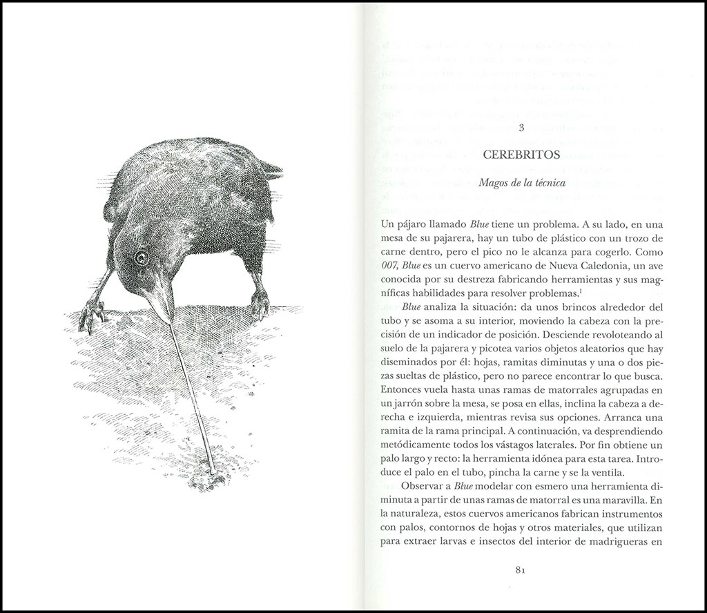EL INGENIO DE LOS PÁJAROS                                                                                                                              2
