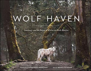 WOLF HAVEN. SANCTUARY AND THE FUTURE OF WOLVES IN NORTH AMERICA 1