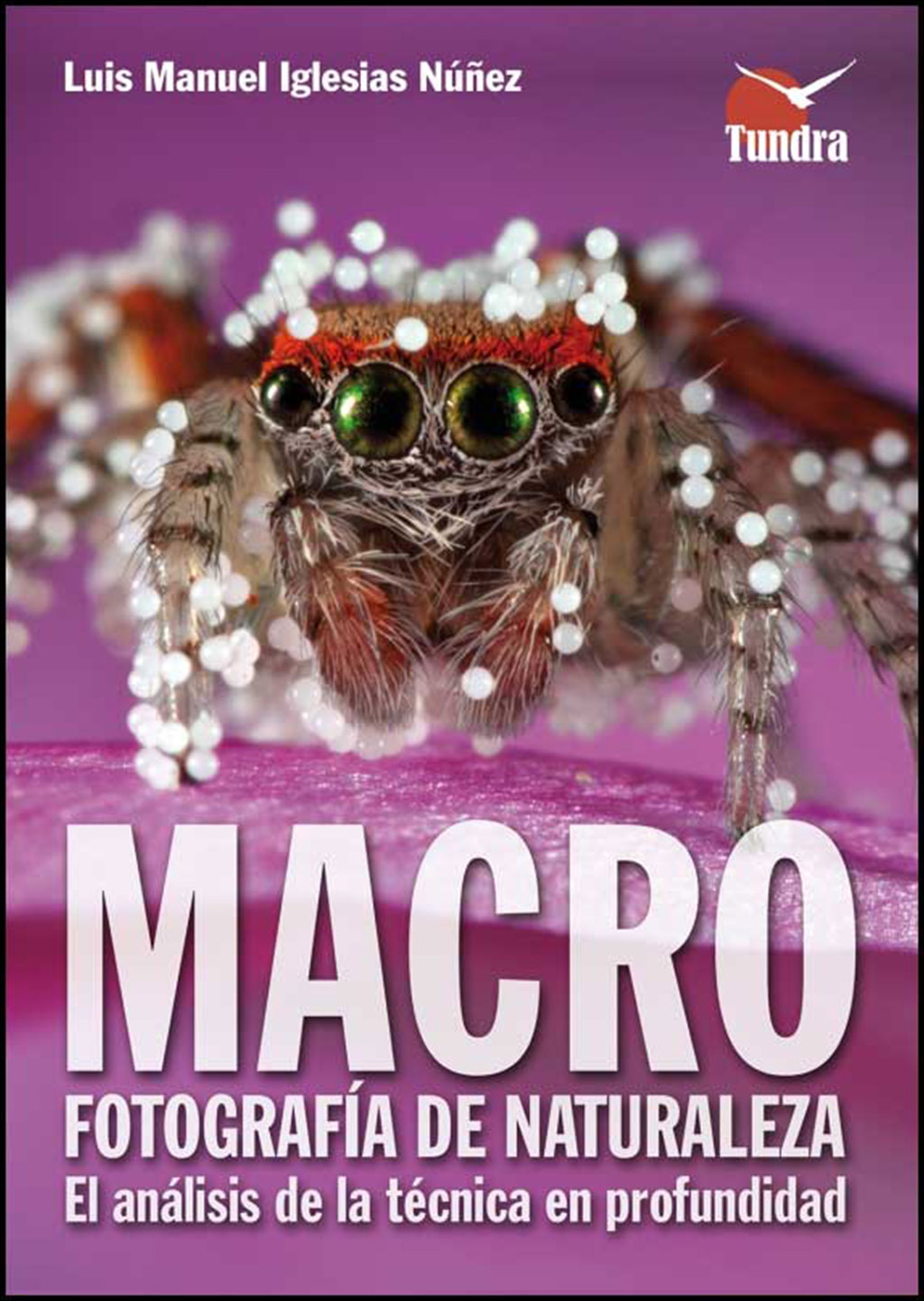 MACROFOTOGRAFÍA DE NATURALEZA 1