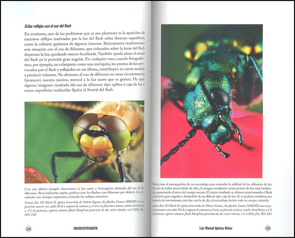MACROFOTOGRAFÍA DE NATURALEZA 3