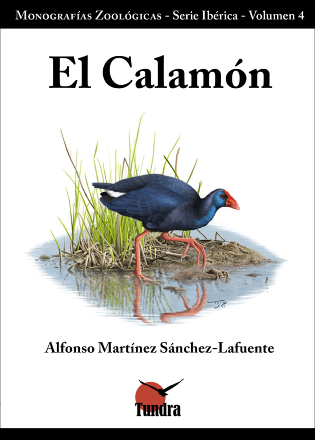 EL CALAMÓN 1