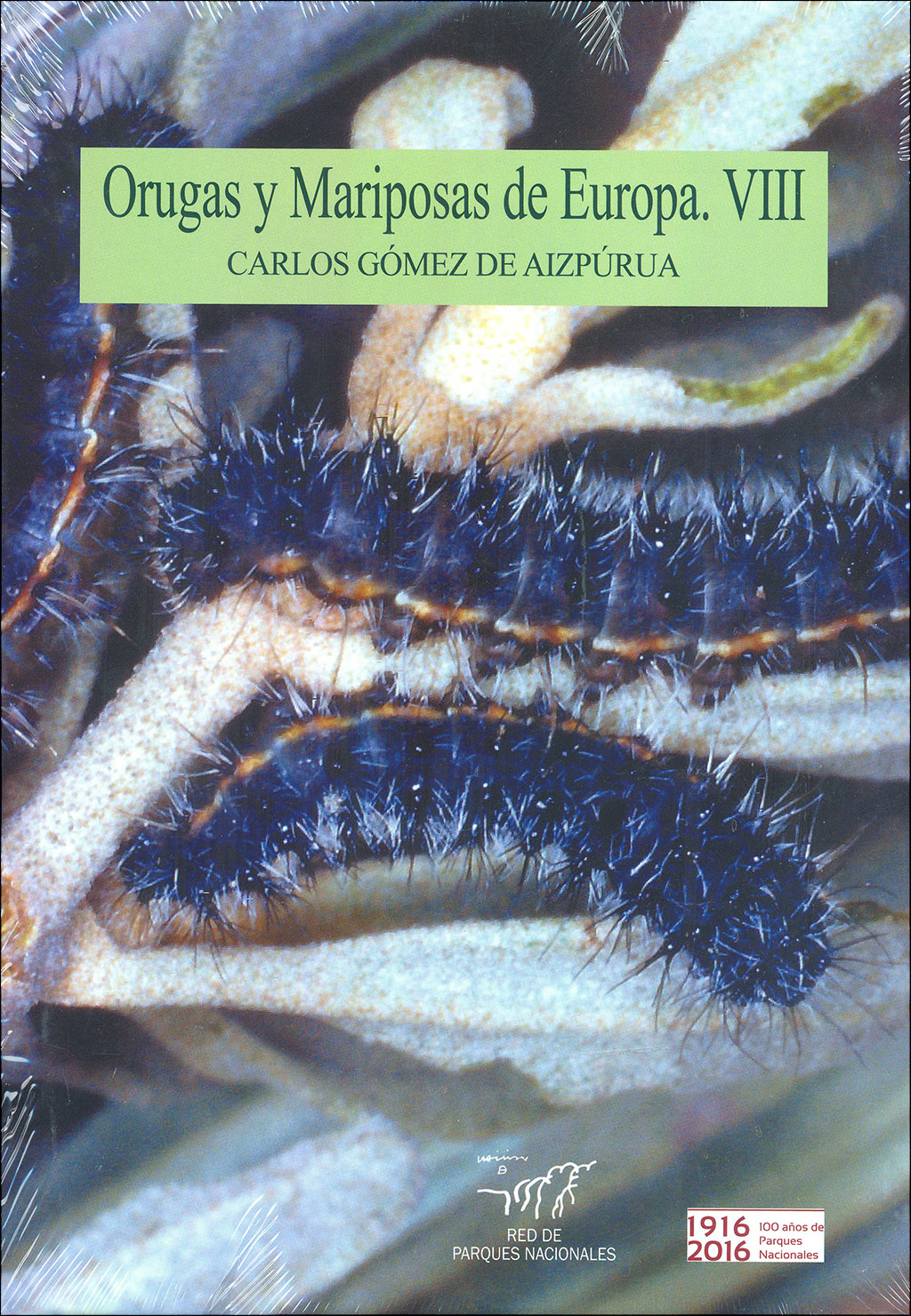 ORUGAS Y MARIPOSAS DE EUROPA. VIII