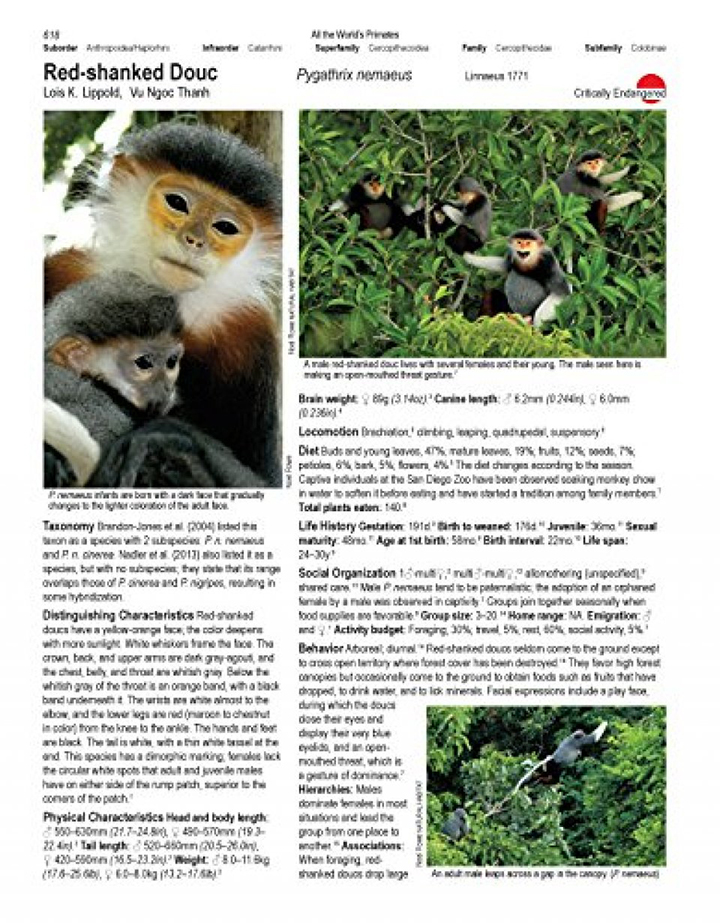 ALL THE WORLD'S PRIMATES 2