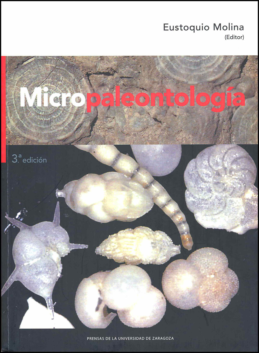 MICROPALEONTOLOGÍA 1