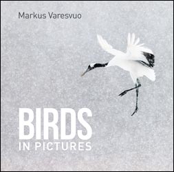 BIRDS IN PICTURES 1