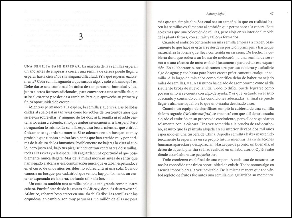 LA MEMORIA SECRETA DE LAS HOJAS 3