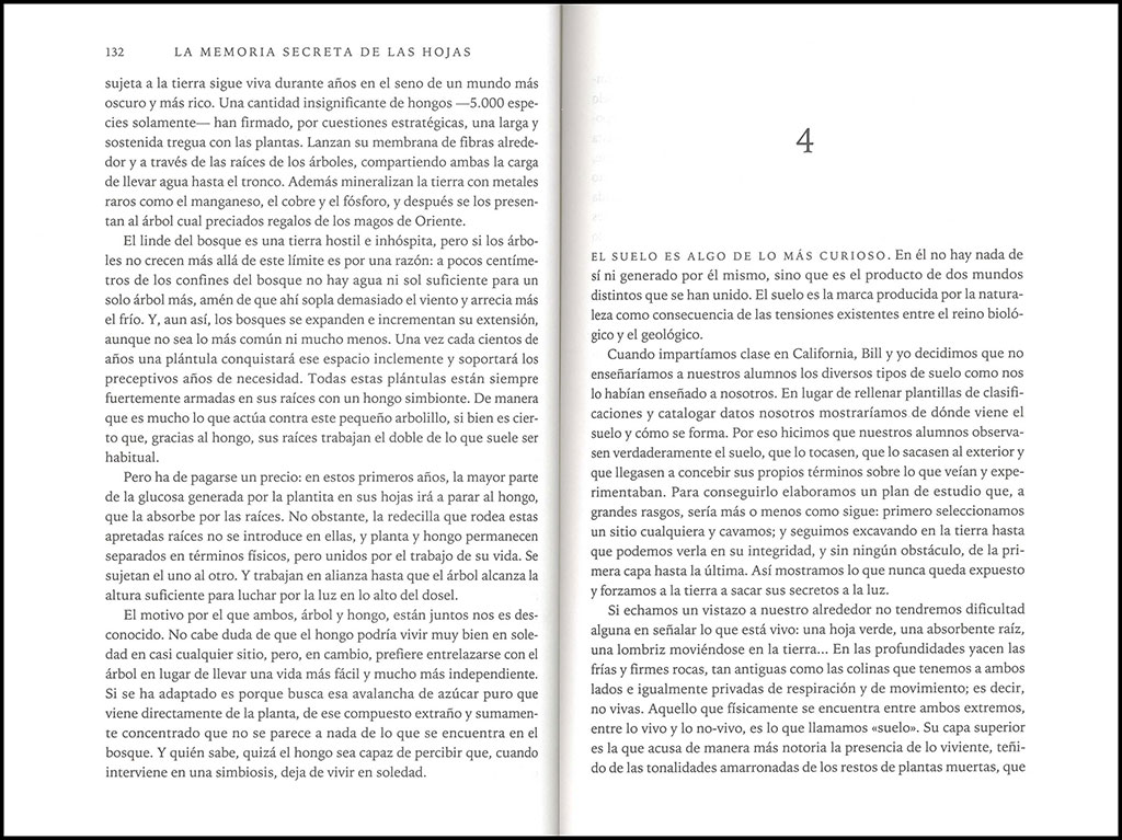 LA MEMORIA SECRETA DE LAS HOJAS 4