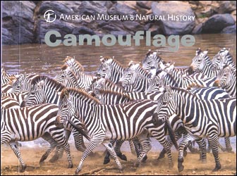 CAMOUFLAGE 2