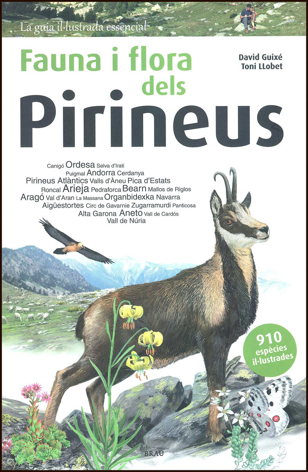 FAUNA I FLORA DELS PIRINEUS 1