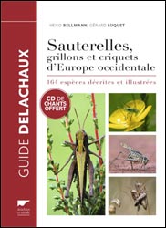 SAUTERELLES, GRILLONS ET CRIQUETS D'EUROPE OCCIDENTALE