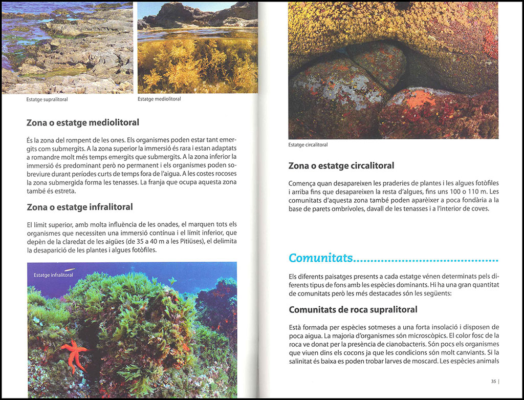 LA BIODIVERSITAT MARINA D'EIVISSA 2