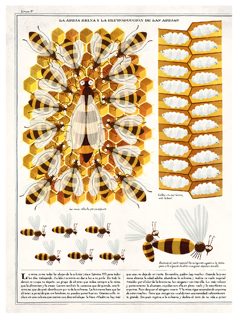 ABEJAS 2
